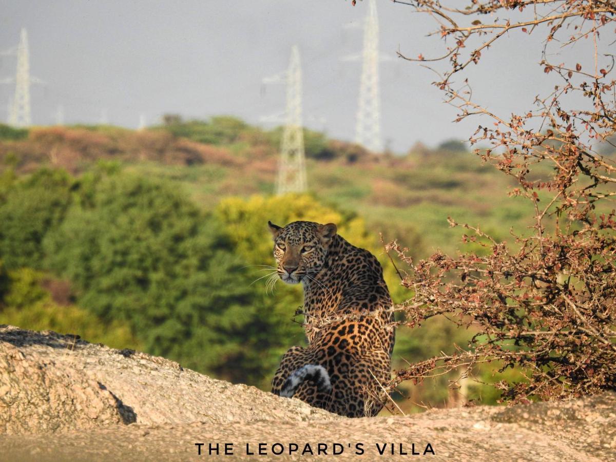 Jawai Leopard Villa ビジャパール エクステリア 写真