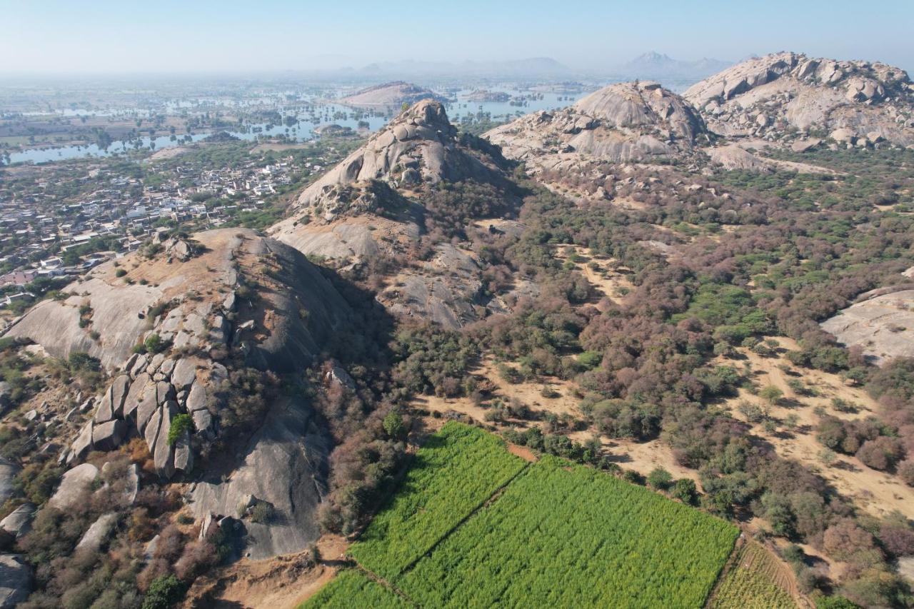 Jawai Leopard Villa ビジャパール エクステリア 写真