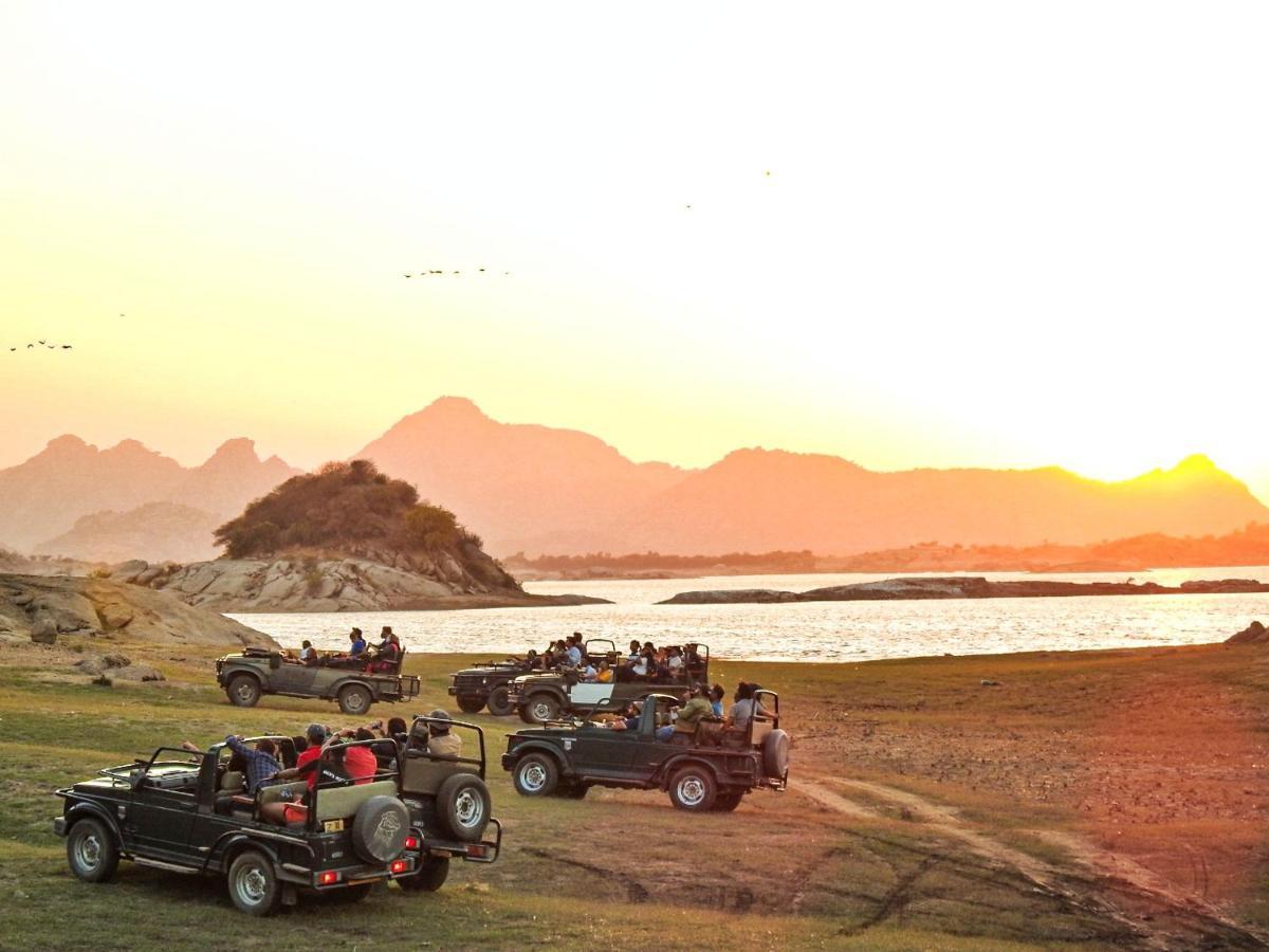 Jawai Leopard Villa ビジャパール エクステリア 写真