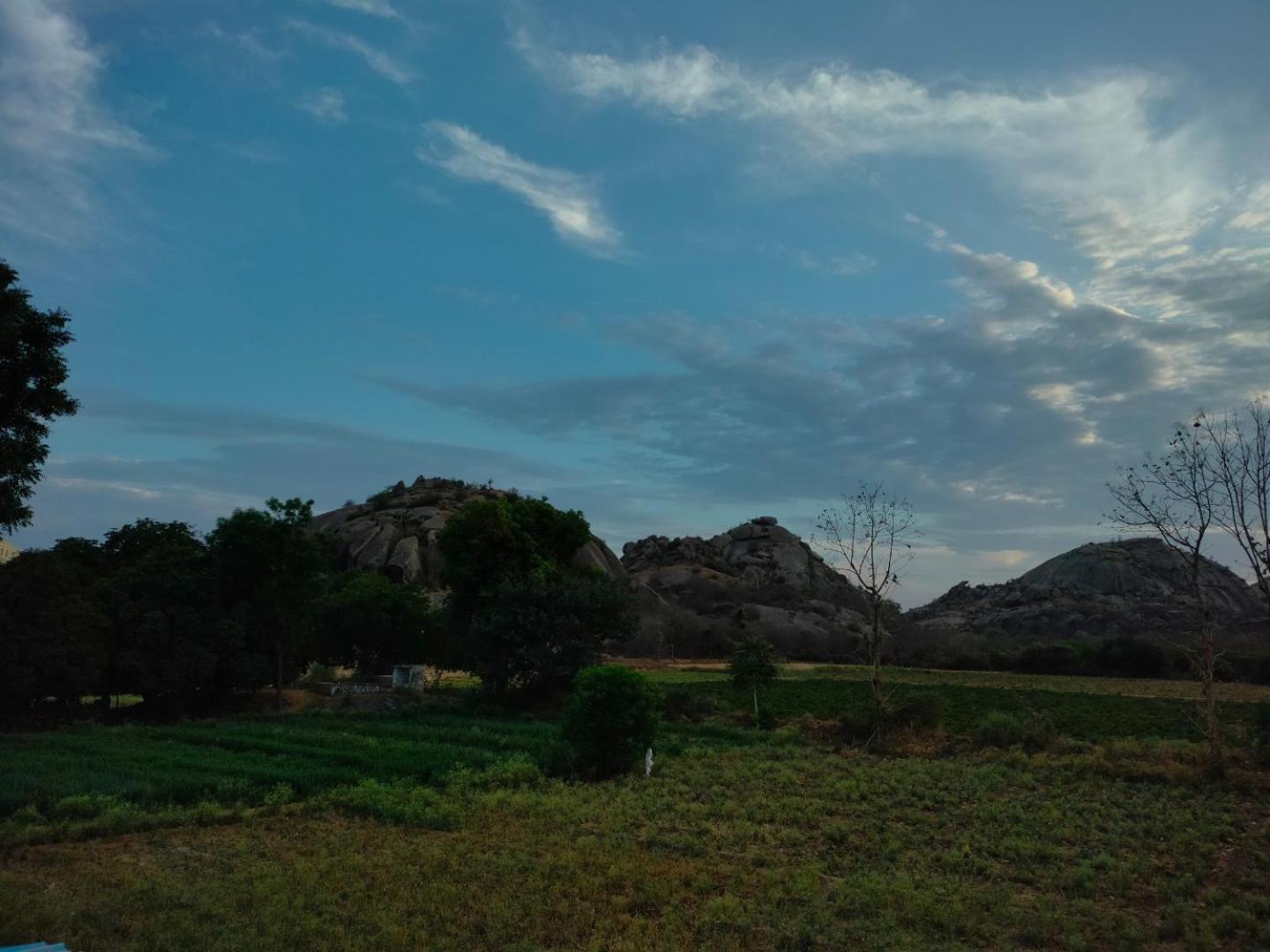 Jawai Leopard Villa ビジャパール エクステリア 写真