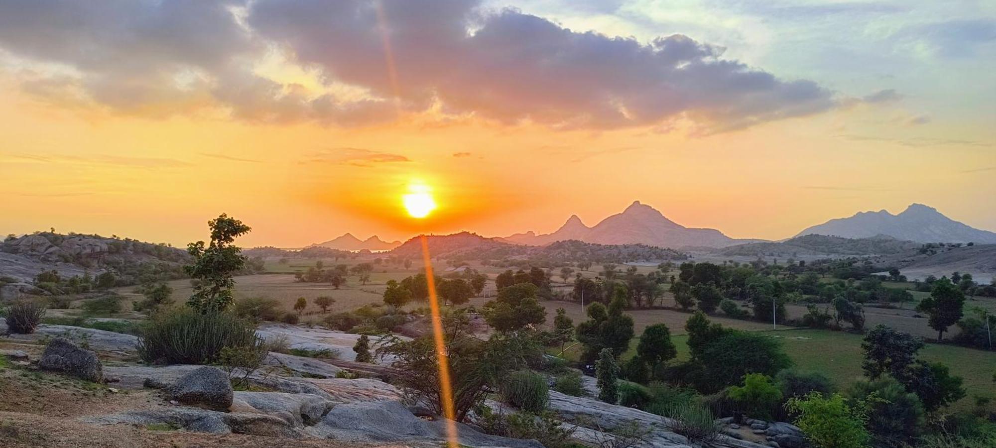 Jawai Leopard Villa ビジャパール エクステリア 写真