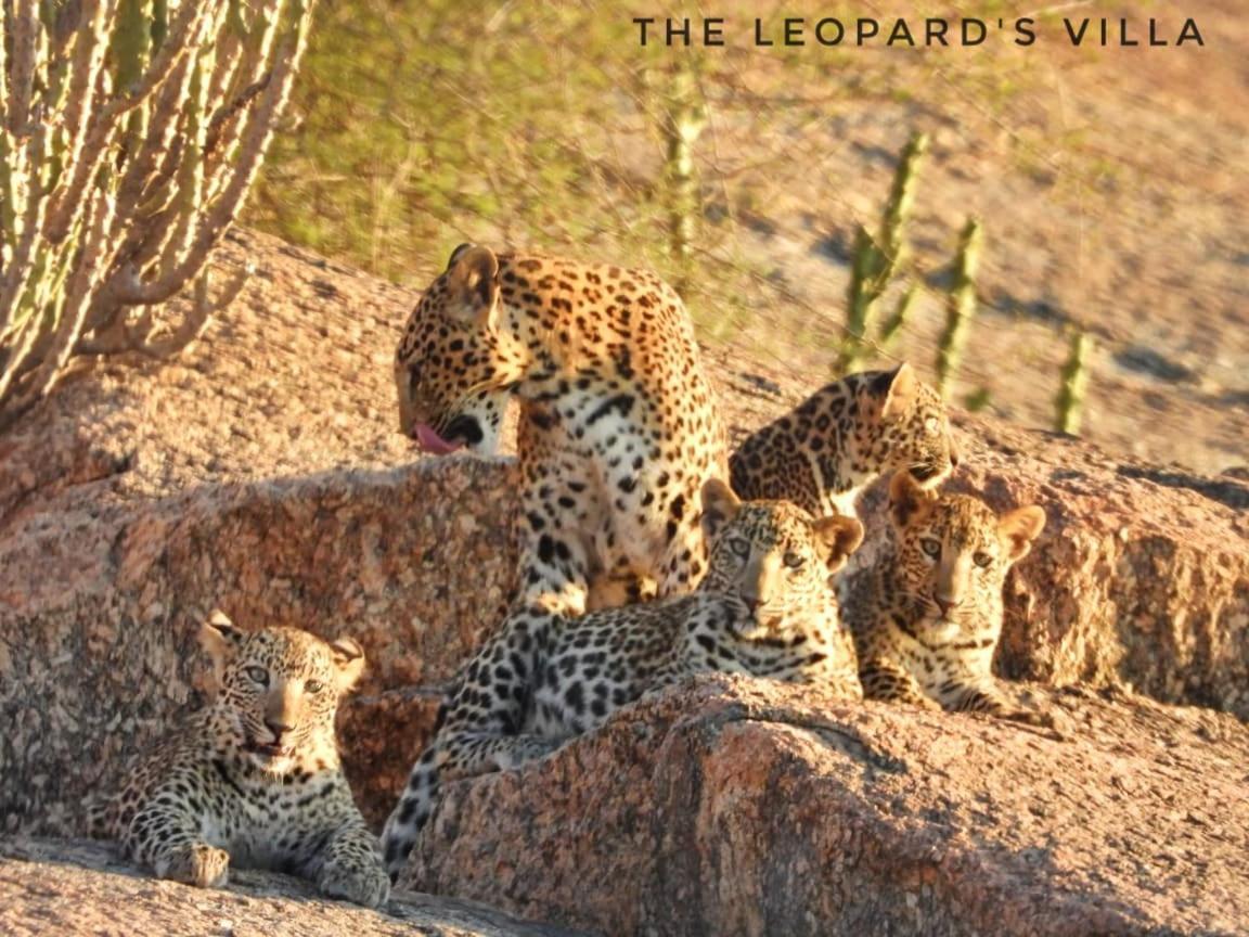 Jawai Leopard Villa ビジャパール エクステリア 写真