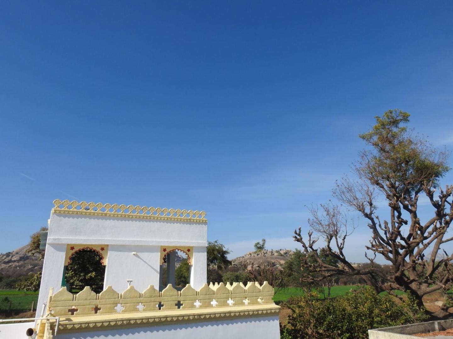 Jawai Leopard Villa ビジャパール エクステリア 写真